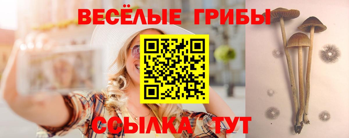 Галлюциногенные грибы Magic Shrooms  Псилоцибиновые грибы ЛСД  Фрязино  Вход с VPN 
